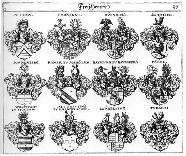 Coats of arms of Baymund FH, Firmian FH, Fürmain FH, Kuehring FH, Leubelfing FH, Paegel FH, Pettaw FH, Pögel FH, Preysing FH, Roemer FH, Römer FH, Sonnenberg FH, Turschi FH, Wolfstein FH, Zerotin FH